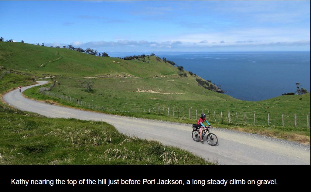 coro201512.jpg (164969 bytes)